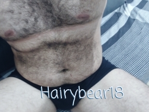 Hairybear18