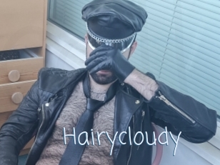 Hairycloudy