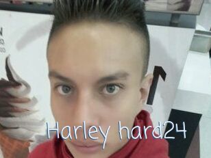 Harley_hard24