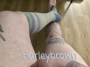 Harleybrown