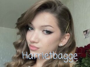 Harrietbagge