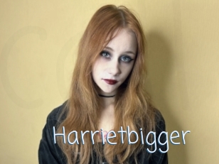 Harrietbigger