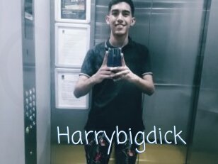 Harrybigdick