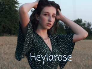 Heylarose