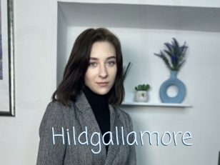 Hildgallamore