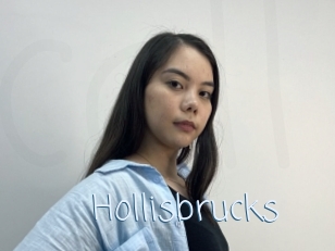 Hollisbrucks