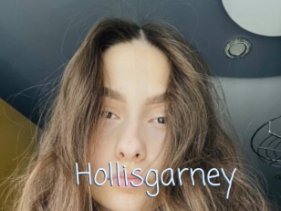 Hollisgarney