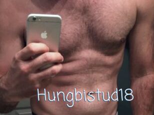 Hungbistud18