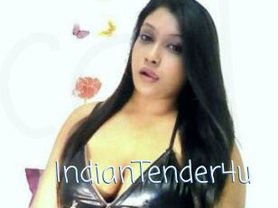 IndianTender4u