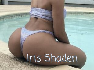 Iris_Shaden