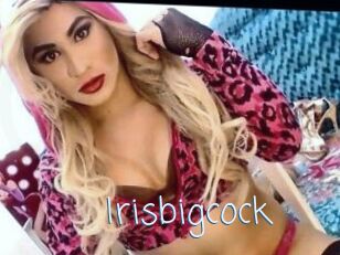 Irisbigcock