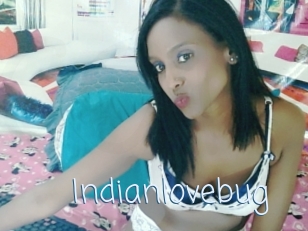 Indianlovebug