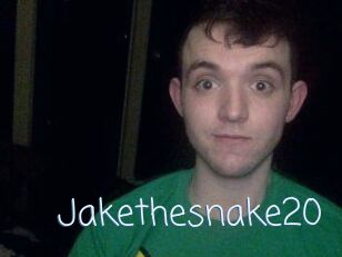 Jakethesnake20