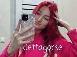 Jettagorse