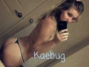 Kaebug