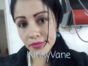 KinkyVane