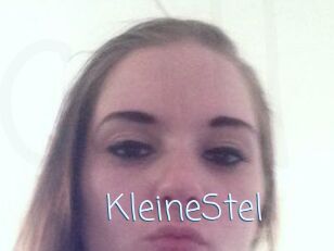 KleineStel