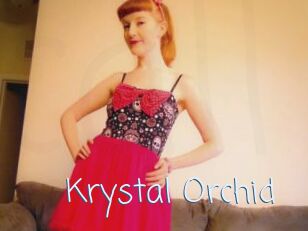 Krystal_Orchid