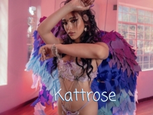 Kattrose