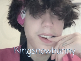 Kingsnowbunny