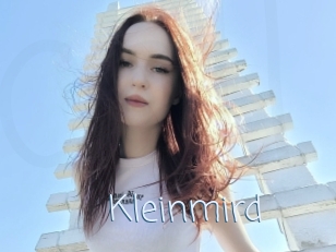 Kleinmird