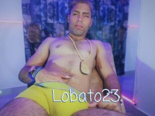 Lobato23