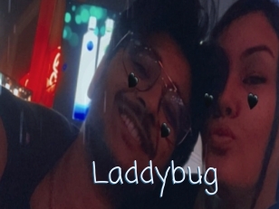 Laddybug