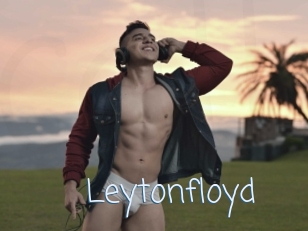 Leytonfloyd