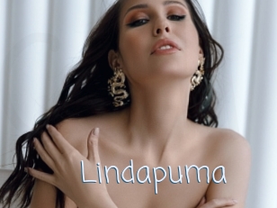 Lindapuma