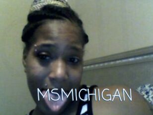 MSMICHIGAN