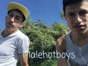 Malehotboys