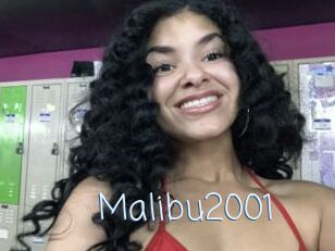 Malibu2001