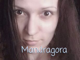 Mandragora