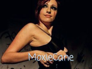 Moxie_Cane