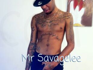 Mr_Savagelee