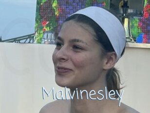 Malvinesley