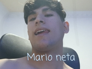 Mario_neta