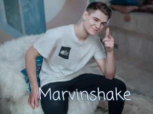 Marvinshake