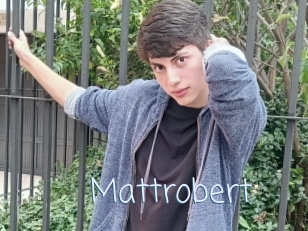 Mattrobert