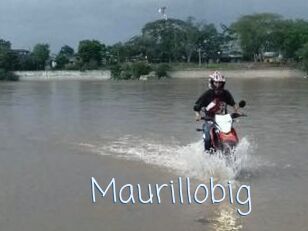 Maurillobig