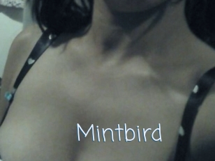 Mintbird