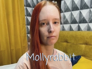 Mollyrabbit