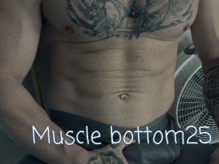 Muscle_bottom25