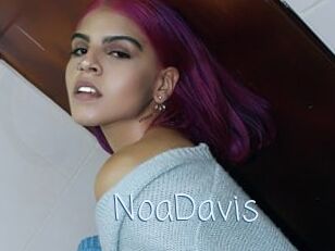 NoaDavis