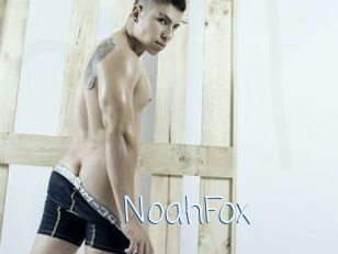 NoahFox