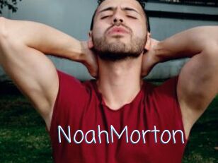 NoahMorton