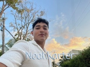 Noahkarter