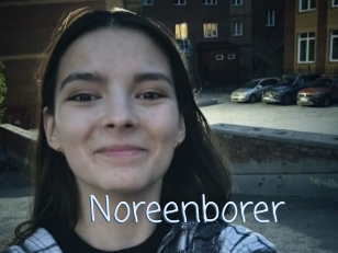 Noreenborer