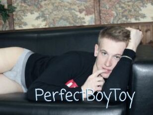 PerfectBoyToy