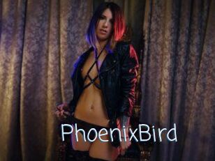 Phoenix_Bird